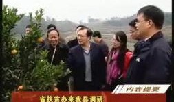 邵阳市新闻爆料找谁,聚焦民生热点，揭示社会现象