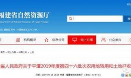 福建爆料最新消息,揭秘神秘事件背后的真相